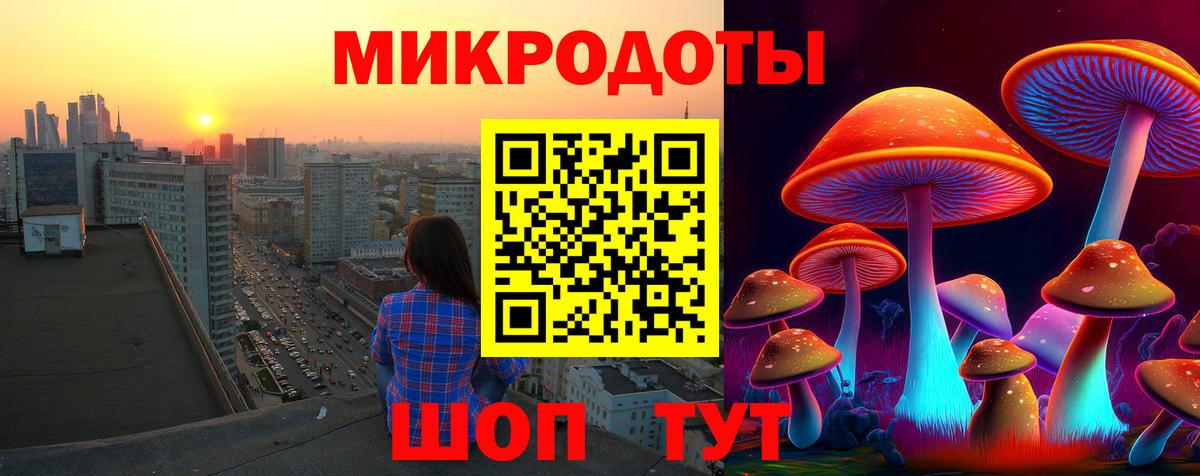 Каменск-Шахтинский  Псилоцибиновые грибы прущие грибы  Вход с VPN 
