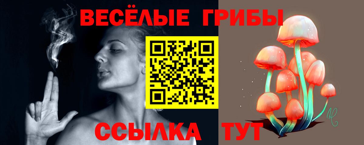 Галлюциногенные грибы прущие грибы Каменск-Шахтинский