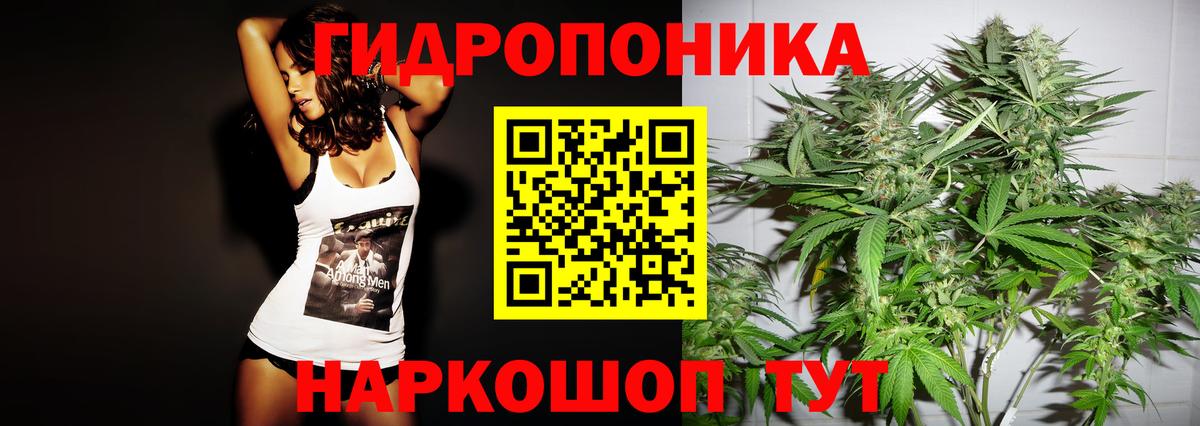 Бошки марихуана план  Каннабис ГИДРОПОН  Марихуана White Widow  Каменск-Шахтинский  Вход с VPN 